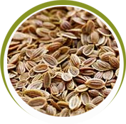 Dill seeds