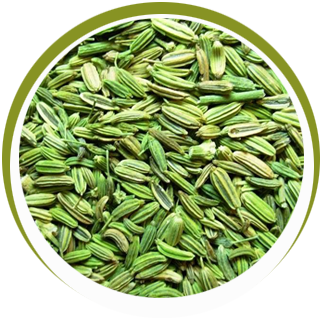 Fenugreek Seeds