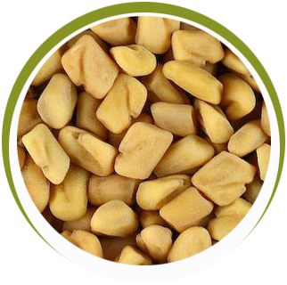 Fenugreek Seeds