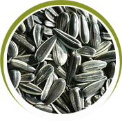 sunflower seeds