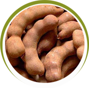 Tamarind